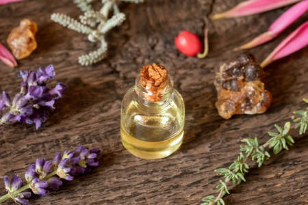 A bottle of essential oil with frankincense, wintergreen, lavender, thyme and other herbs