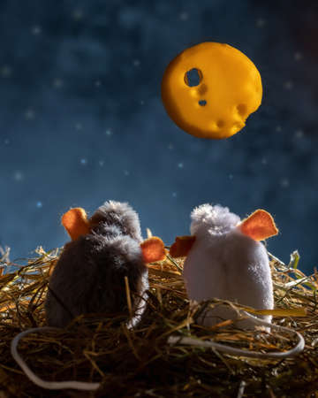 Concept of dreaming or longing, or illustration of the belief that the moon is made of cheese