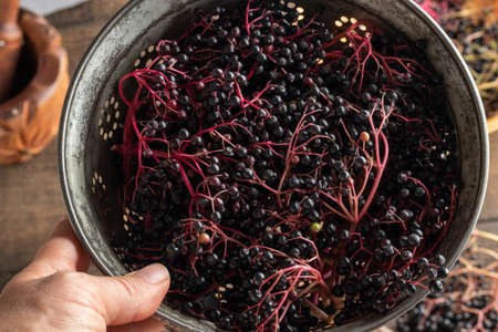 Black elder berries in a blue pot, top view