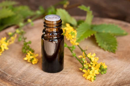Essential oil bottle with fresh blooming agrimony plantの写真素材