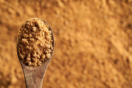 Panela or rapadura - healthy sweetener made by evaporating sugercane juice, on a wooden spoon with copy spaceの素材 [FY310162870480]