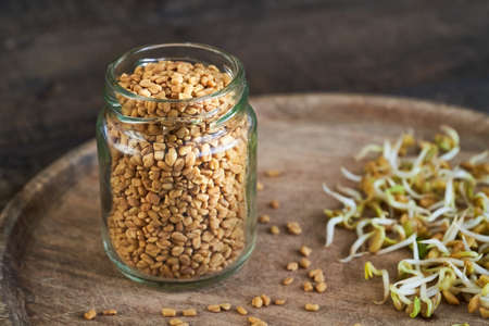 Dry fenugreek seeds in a glass jar, with fresh Trigonella sprouts in the backgroundの写真素材