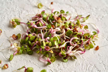 A heap of fresh radish sprouts or microgreens on a white background