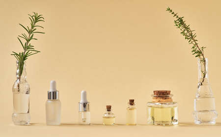 Bottles of essential oil with rosemary and thyme twigs, with copy spaceの写真素材