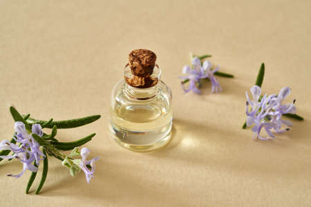 A bottle of essential oil with fresh blooming rosemary on yellow backgroundの写真素材