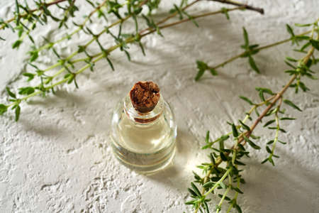 Essential oil bottle with fresh thyme on a bright backgroundの写真素材