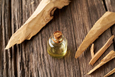 A bottle of essential oil with pieces of white sandalwoodの写真素材