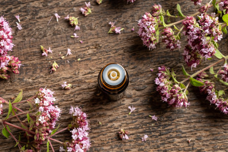 A bottle of essential oil with blooming thyme plant, top viewの写真素材