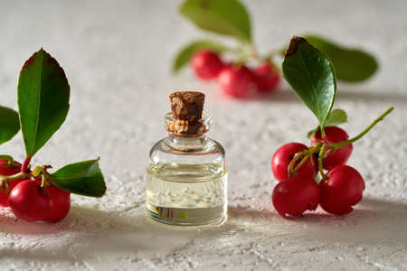 Essential oil bottle with fresh wintergreen twigsの写真素材
