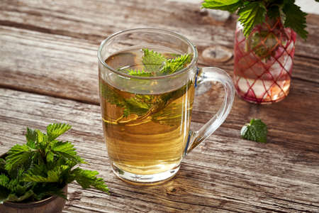 A cup of herbal tea with fresh green stinging nettles collected in springの写真素材