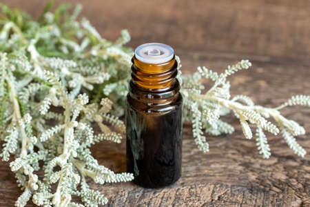 A bottle of essential oil with santolina twigs on a wooden table