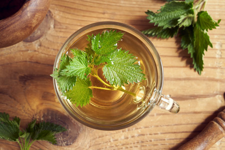 A cup of nettle tea, top viewの写真素材