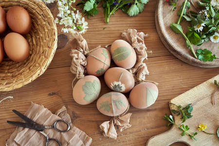 Preparation of Easter eggs for dying with onion peels, top viewの写真素材