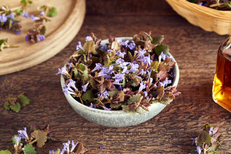 Fresh blooming ground-ivy plant in a bowl on a tableの写真素材