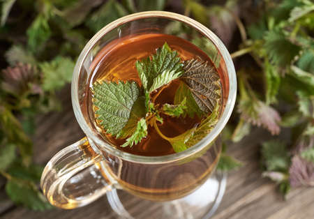 Fresh nettles in a glass cup of herbal tea, close upの写真素材