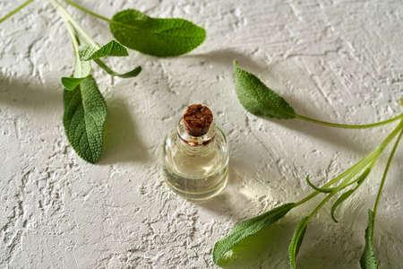 A bottle of essential oil with fresh sage twigs on bright backgroundの写真素材