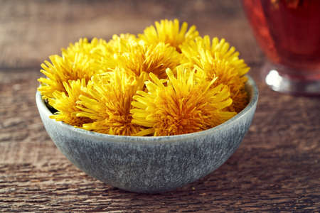 Dandelion flowers in a blue bowl - spring or herbalism conceptの写真素材