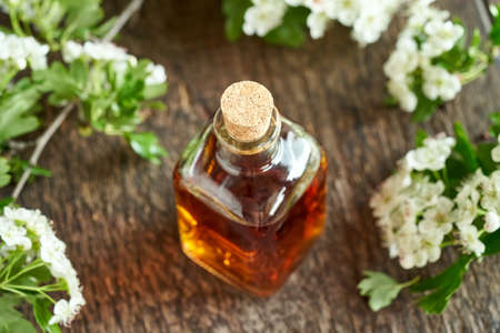 A bottle of herbal tincture with hawthorn flowers and leaves in spring