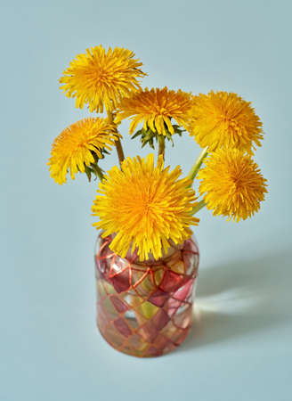 Fresh dandelion flowers in a vase on blue pastel backgroundの写真素材