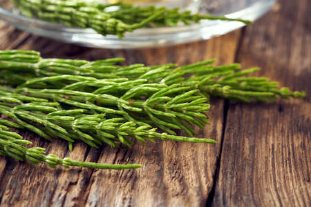 Fresh horsetail plant on a wooden rustic table, close upの写真素材