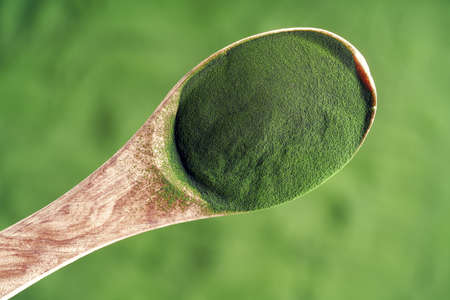 Ground chlorella on a spoon, top viewの写真素材