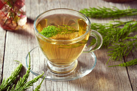 Fresh horsetail plant in a cup of herbal tea. Alternative medicine.の写真素材