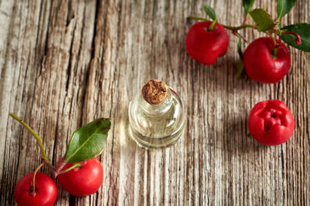 A bottle of essential oil with wintergreen leaves and berriesの写真素材