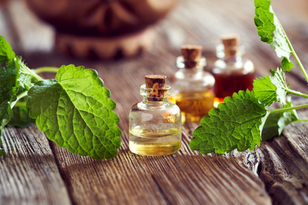 Bottles of essential oil with fresh melissa leaves on a wooden table. Aromatherapy or natural medicine.の写真素材
