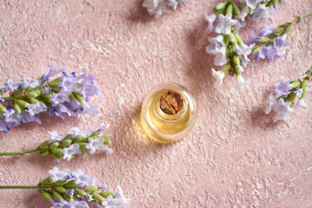 A bottle of essential oil with fresh blooming lavender twigs