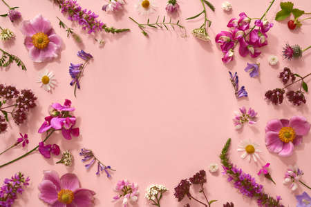 Summer concept - yarrow, blooming oregano and other flowers on pastel pink background with circular copy spaceの写真素材