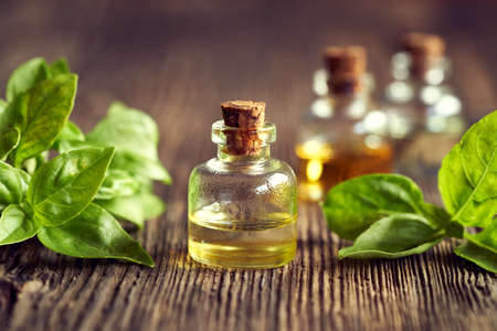 A bottle of aromatherapy essential oil with fresh basil leavesの写真素材