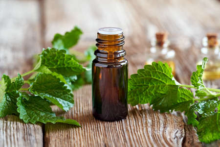 A dark bottle of essential oil with fresh melissa leaves. Aromatherapy or alternative medicine.の写真素材
