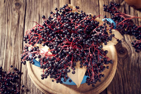 Black elderberries on a table - medicinal herbの写真素材