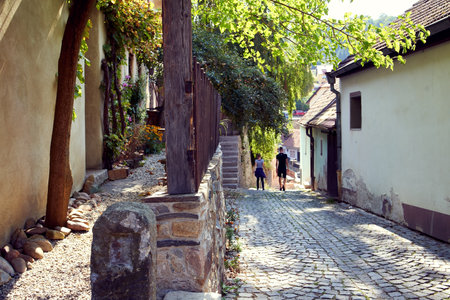 CESKY KRUMLOV, CZECH REPUBLIC - SEPTEMBER 10, 2021: Wooden pergola and fence in a narrow streetのeditorial素材
