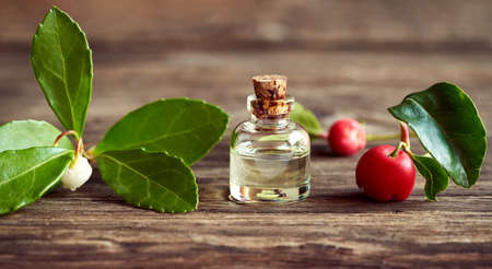 A bottle of aromatherapy essential oil with fresh wintergreen leaves, berries and flowersの写真素材