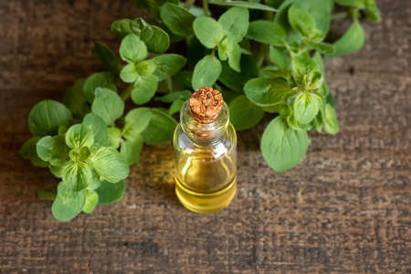 A bottle of essential oil with fresh oregano twigs on a tableの写真素材