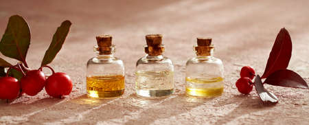 Horizontal banner or header with aromatherapy essential oil bottles and fresh wintergreen berries on pink backgroundの写真素材