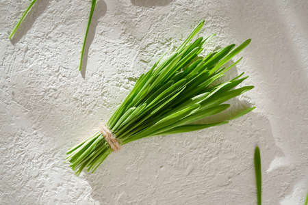 A bundle of fresh green young green barley grass on white background, top viewの写真素材