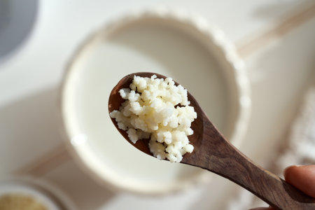 Kefir grains on a spoon above a bowl of fresh milk - preparation of a homemade fermented drinkの写真素材