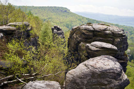 View of Tiske steny or Tisa rocks in Bohemia, Czech Republicの写真素材