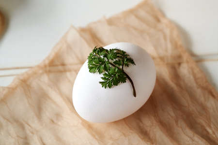 Preparation of Easter eggs for dyeing with onion peels with a pattern of fresh herbsの写真素材