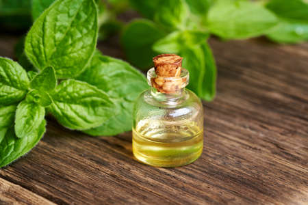 A bottle of aromatherapy essential oil with fresh oregano twigs on a tableの写真素材