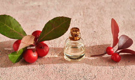 A bottle of essential oil with wintergreen leaves and berries on a pink backgroundの写真素材