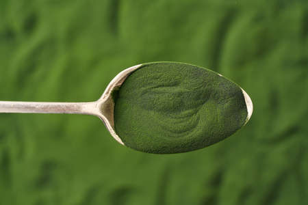 Green chlorella algae powder on a metal spoon - healthy nutritional supplementの写真素材