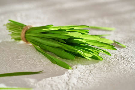 A bundle of freshly grown barley grass on a white backgroundの写真素材