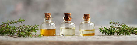Panoramic banner with bottles of aromatherapy essential oil fresh thymeの写真素材