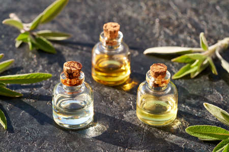 Three bottles of aromatherapy essential oil with fresh sage twigs on dark background