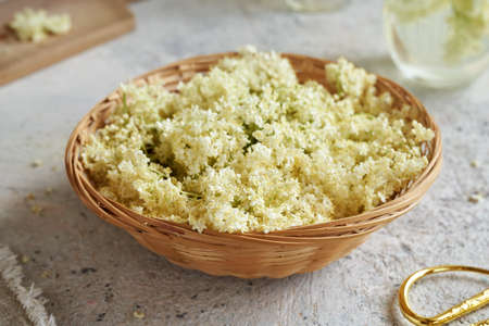Fresh elder flowers in a basket on a table in springの写真素材