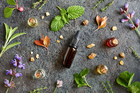 Bottles of aromatherapy essential oil with frankincense, melissa, blooming sage, wintergreen and other herbs on dark backgroundの写真素材