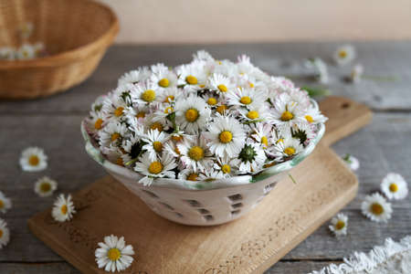 Fresh common daisy flowers in a bowl on a tableの写真素材